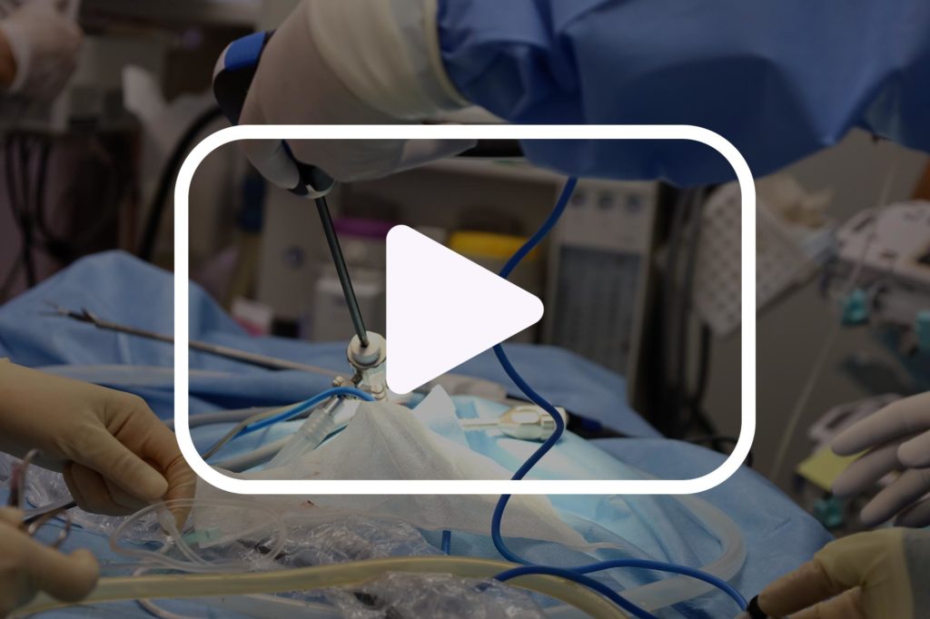 手術動画閲覧（月額制）